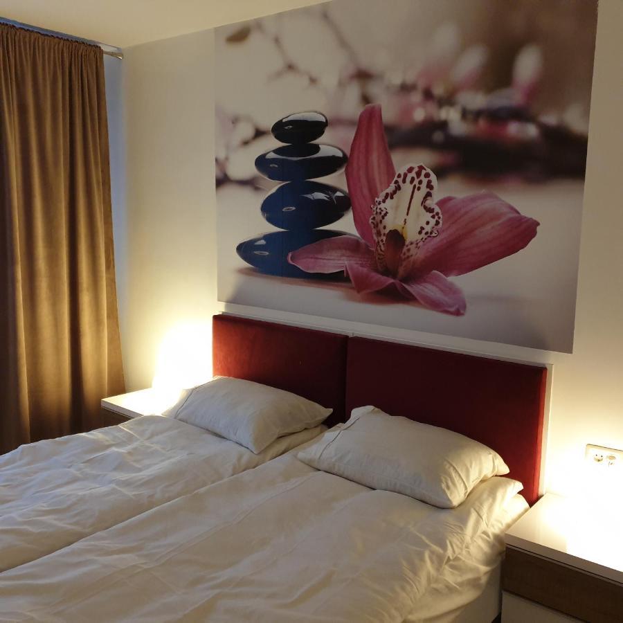 Carolina Sweet Apartament Орадя Экстерьер фото